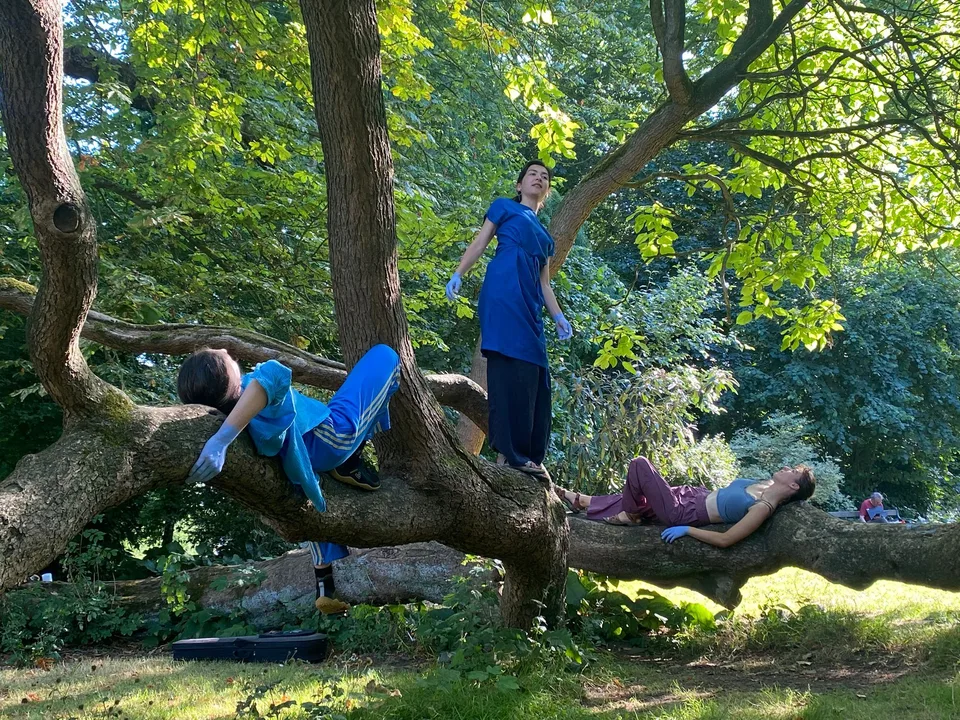 Performers draped along the branch of a big tree in a garden
