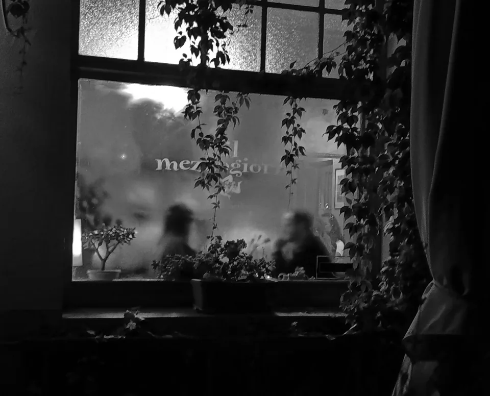 Black-and-white: a window with plants on the sill, seen from inside a dark room
