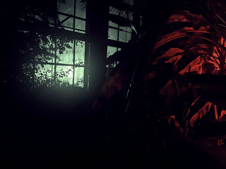 Red leaves against a window at night, the glass tinted deep green