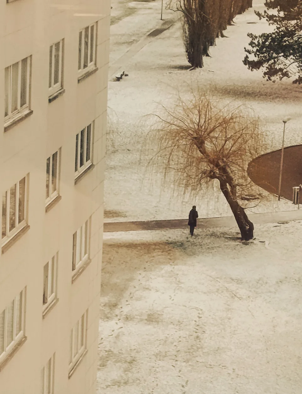 A figure crossing snow beside a bare tree, in front of a pale apartment block