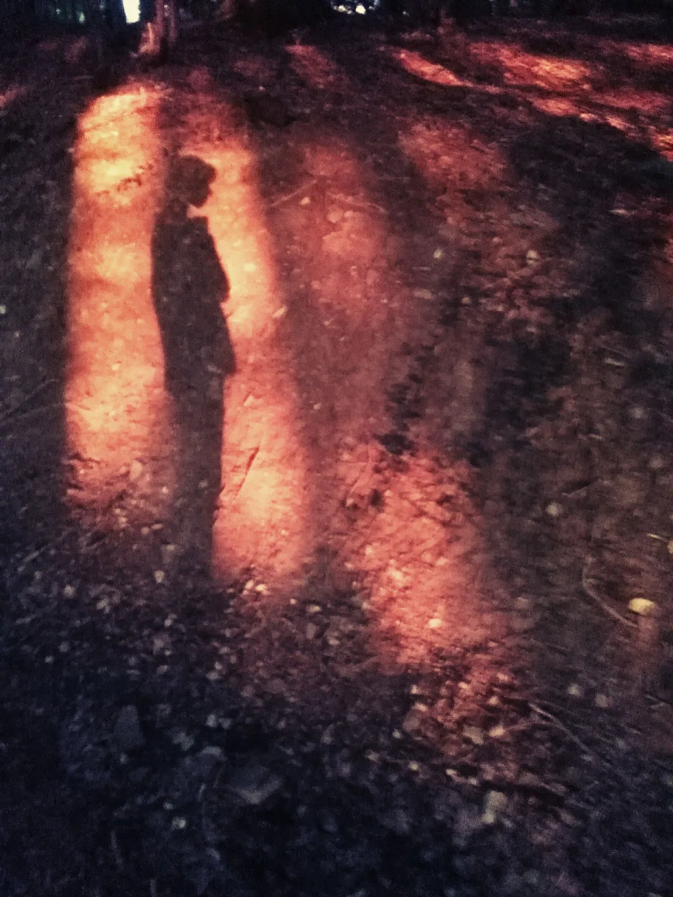 The shadow of a standing figure stretched across ground washed in deep red light