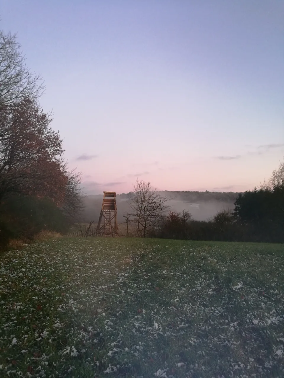 A hunting tower at the edge of a misty field at first light