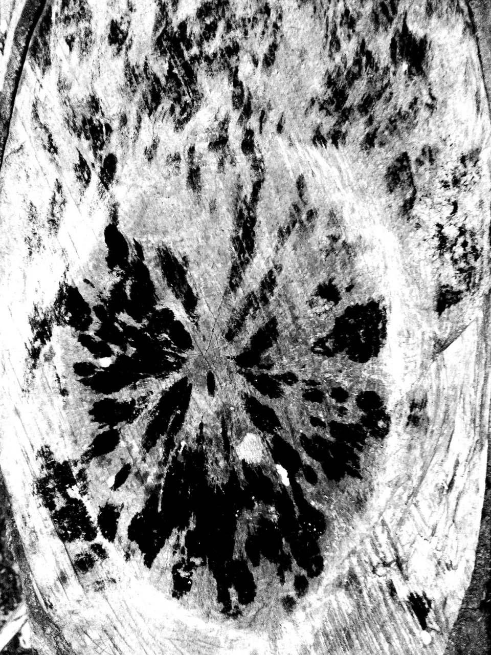 A black-and-white close-up of frost spreading like branches